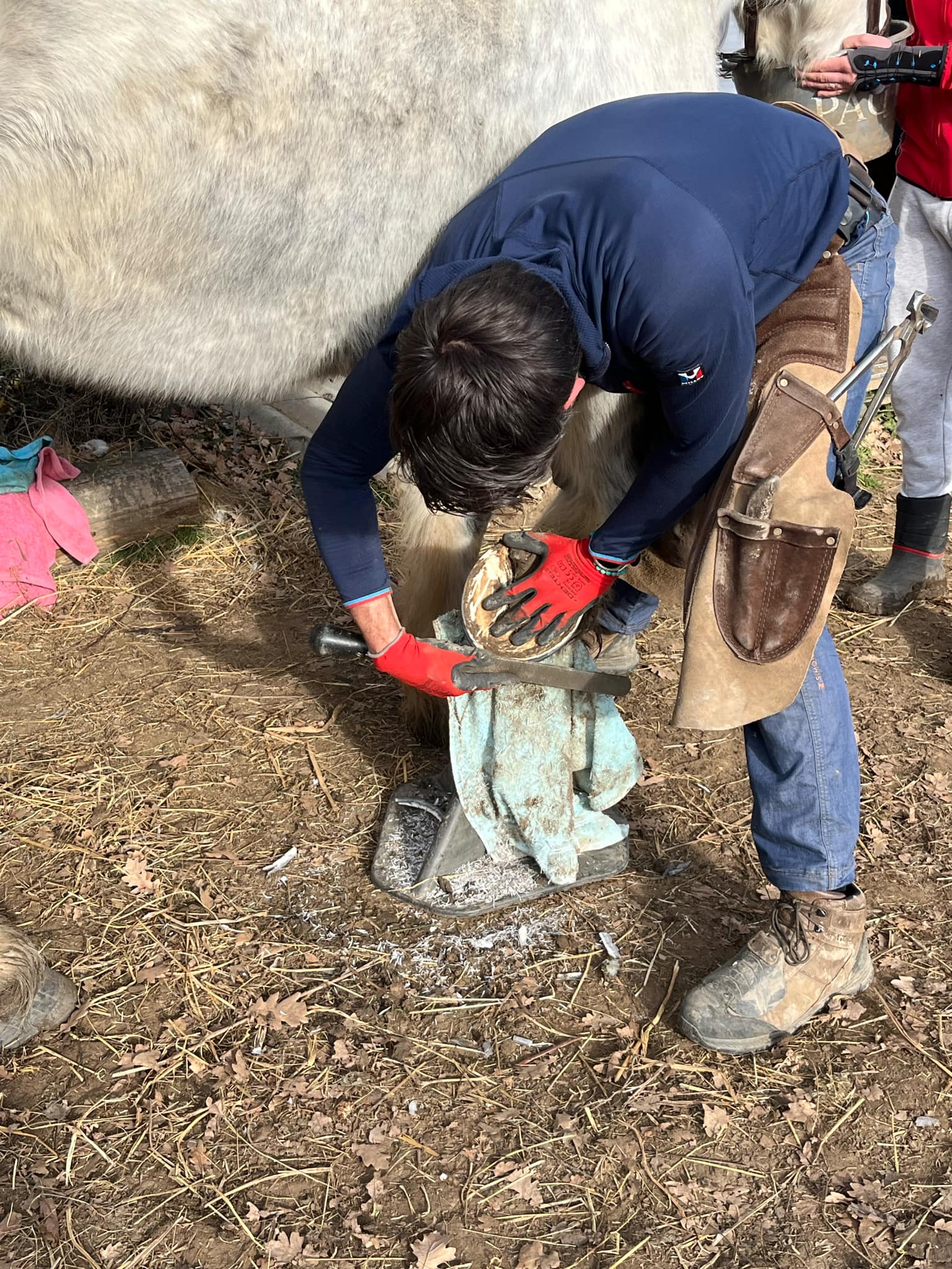 Gros plan du travail à la râpe sur un sabot pendant le parage